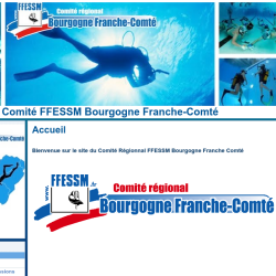 LE COMITE BOURGOGNE FRANCHE COMTE